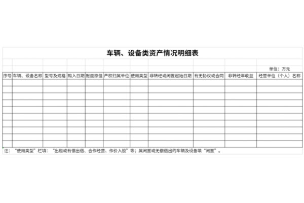 车辆、设备类资产情况明细表