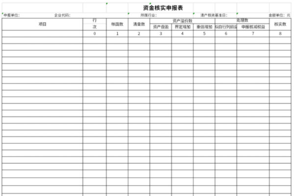 资金核实申报表