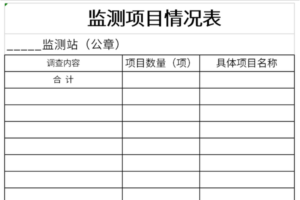 监测项目情况表