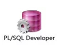 PL/SQL Developer电脑版下载2025最新_PL/SQL Developerpc版免费下载_华军软件园