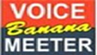 Voicemeeter Banana