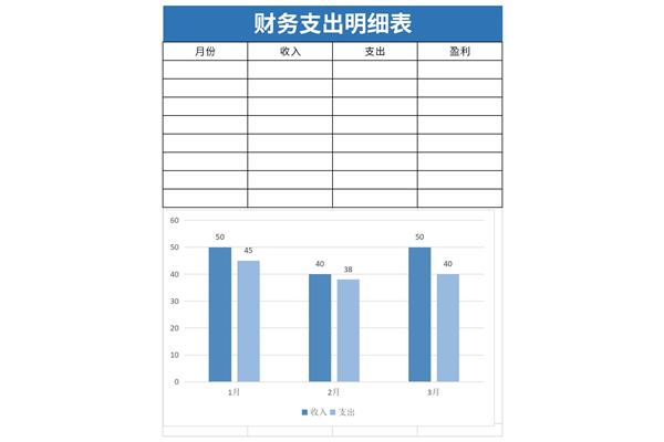 财务支出明细表