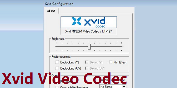 Xvid Video Codec截图