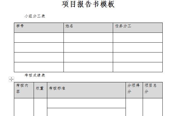 项目报告书模板