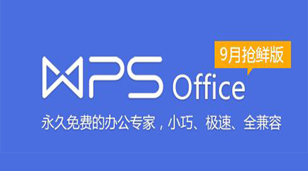 WPS Office 2016 抢鲜版段首LOGO