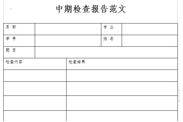 中期检查报告范文