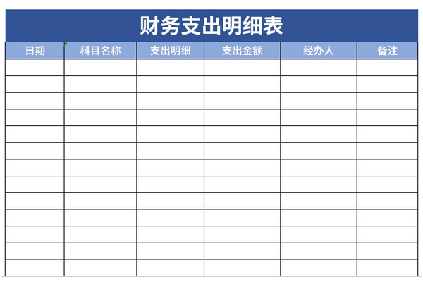 最新财务收支明细表