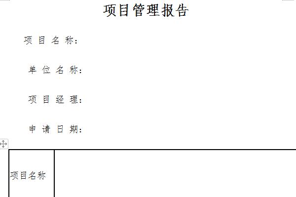 项目管理实践报告