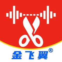  Jinfeiyi Audio Editor