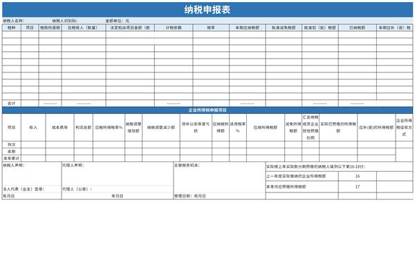 纳税申报表