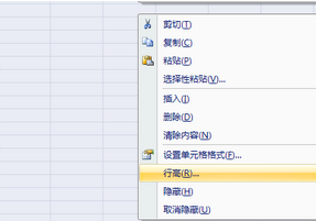 excel 2007截图