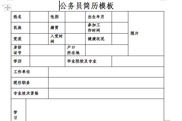 公务员简历模板