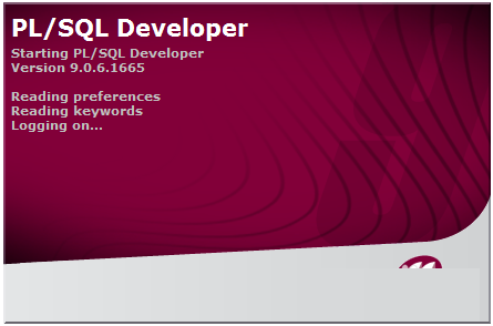 PLSQL Developer 64位截图
