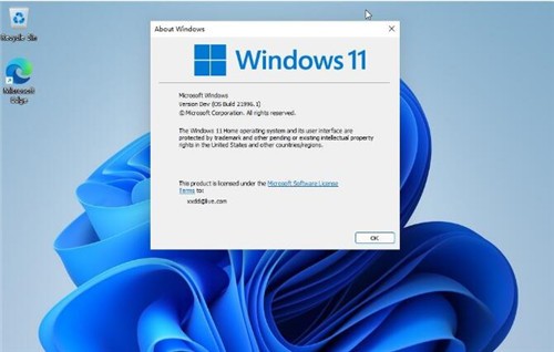 微软Win11系统 64位英文预览版