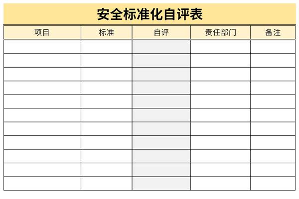 安全标准化自评表