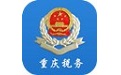 重慶市網上電子稅務局段首LOGO