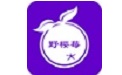 野樱莓段首LOGO