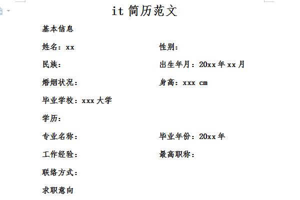 it简历模板范文截图