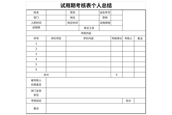 试用期考核表个人总结