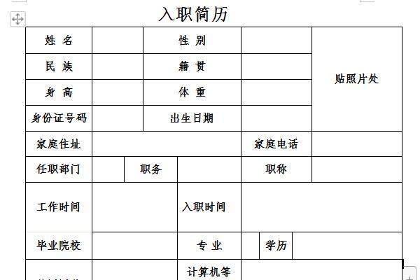 入职个人简历模板