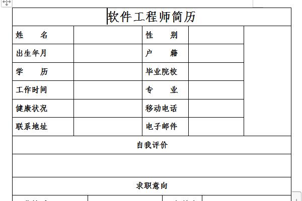 软件工程师简历模板截图