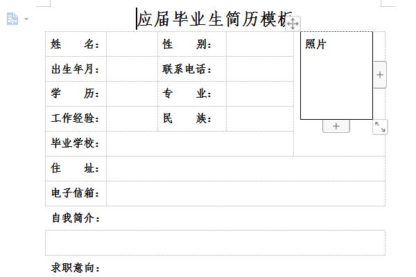 应届毕业生求职简历模板