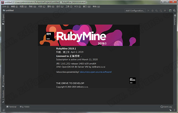 RubyMine2019
