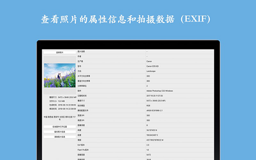 Exif Viewer