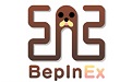 BepInEx