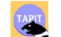 Tapit英语电脑版段首LOGO