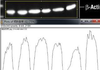 ImageJ For Mac截图