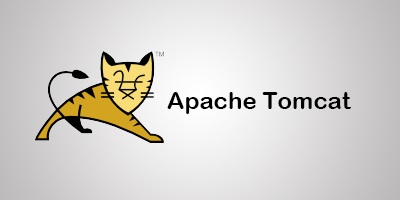 Tomcat For Mac截图