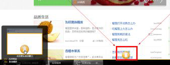 SnagIt for Mac截图