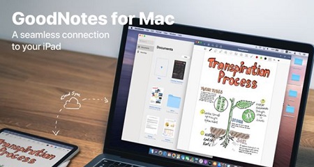 GoodNotes mac