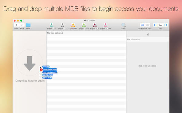 MDB Explorer for Mac