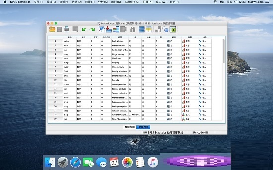 IBM SPSS Statistics for mac