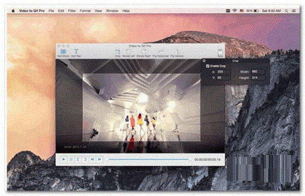 Video to GIF Pro For Mac