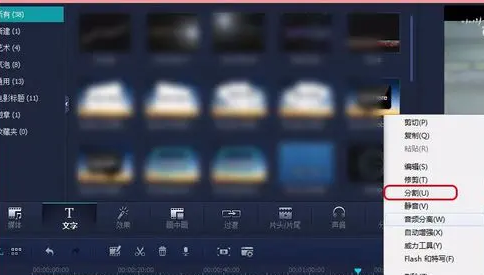 Wondershare Video Editor Mac截图