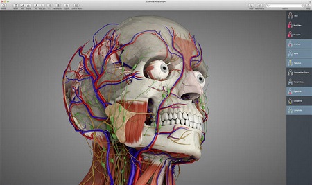 Essential Anatomy Mac