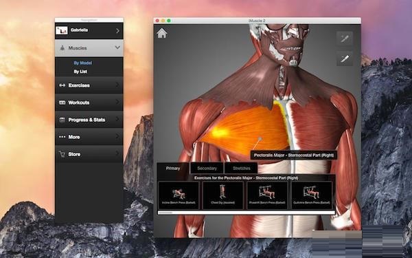 iMuscle 2 for Mac