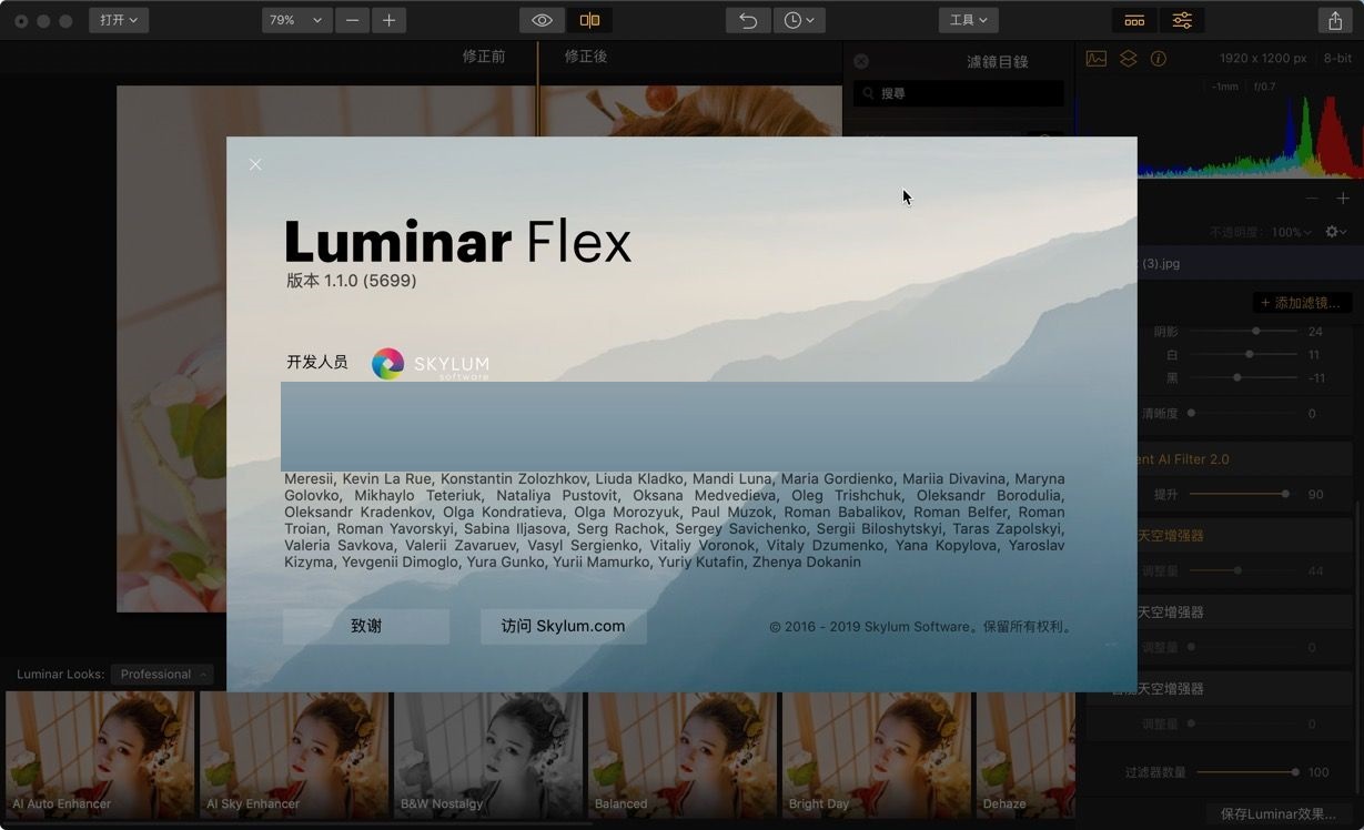 Luminar Flex for Mac