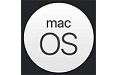 MacOS 11.0段首LOGO