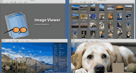 Image Viewer For Mac截图