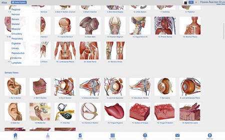 Human Anatomy Atlas Mac