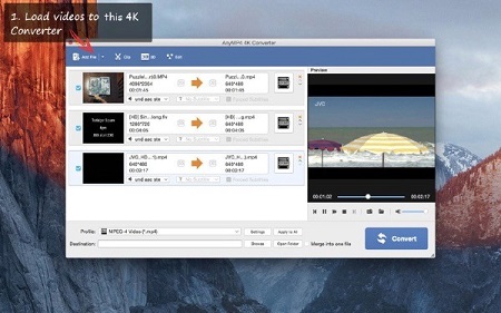 AnyMP4 4K Converter Mac