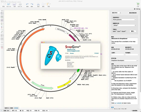 SnapGene 4 Mac