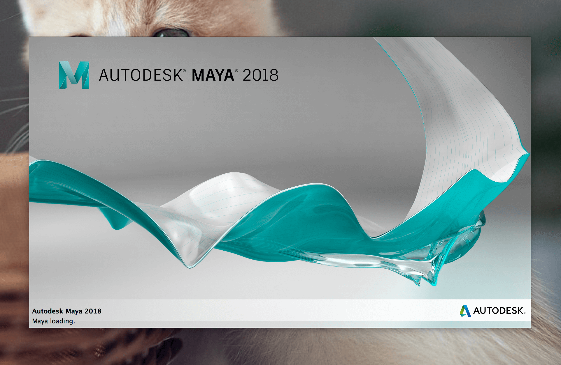 Autodesk Maya 2022 MAC截图