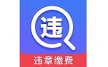 查违章12123
