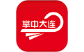 掌中大连段首LOGO