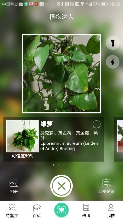 植物达人